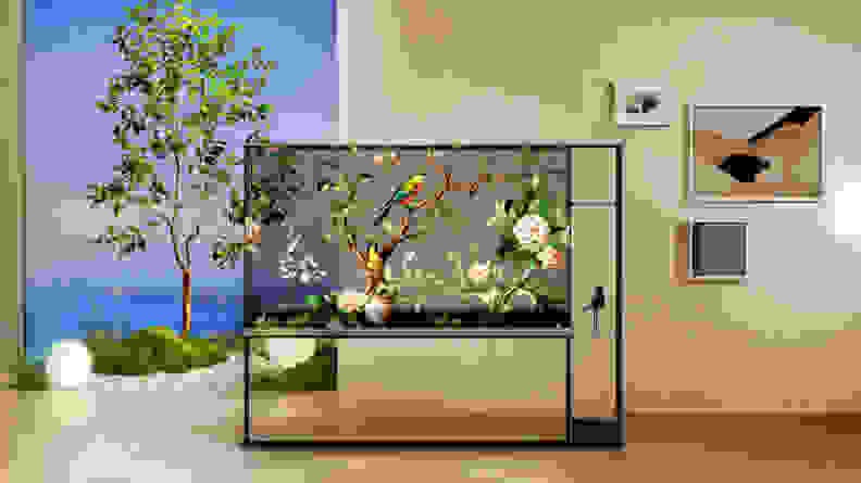 The LG OLED T showing showing birds and trees on its transparent screen in a room with a tree behind a window in the background.