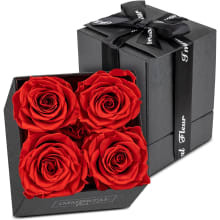 Product image of Immortal Fleur Preserved Roses