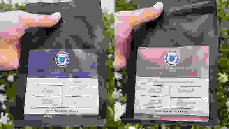 A hand holding up two coffee bean bags