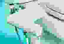Product image of GenieBidet Ellegantz