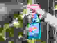 A person sprays a glass cleaner on a clear window with green trees in the background