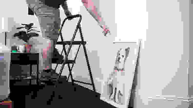 A person climbs a 3-step stool and reaches for a portrait of a dog
