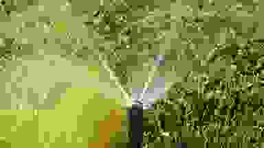 A sprinkler sprays water across a green lawn.