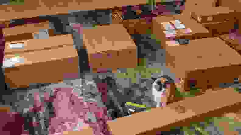 Boxes of bidets spread out on our living room floor