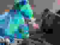 A child goes nose-to-nose with a dragon Warmie