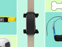 Four dog trackers and a cartoon dog bone on a colorful background