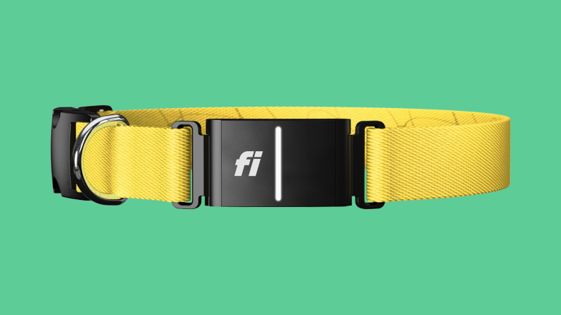 Fi dog tracker collar on colored background