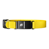 Product image of Fi Series 3 Smart Dog Collar