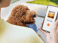 User on Babbel app with dog looking up at user.