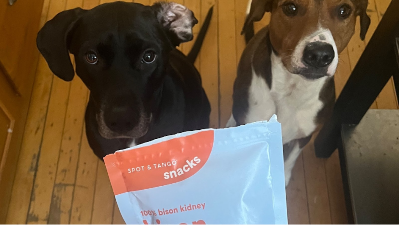 A black dog and a brown and white dog sitting on a floor looking up at a treat bag