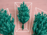 Three small green artificial Christmas trees on wooden floor inside of clear boxes.