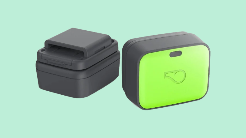 Whistle Go dog tracker collar on colored background